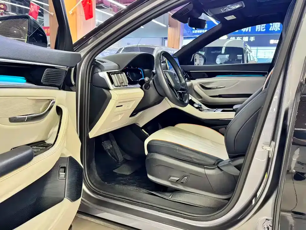 BYD PLUS New Energy — фото 7