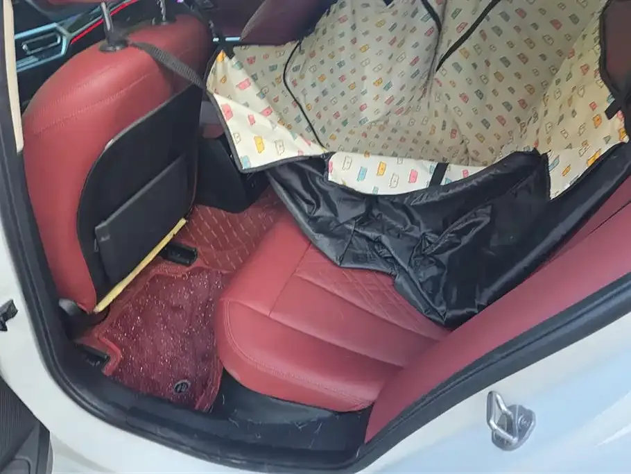 BMW 3 Series 2022 из CN, фото 10