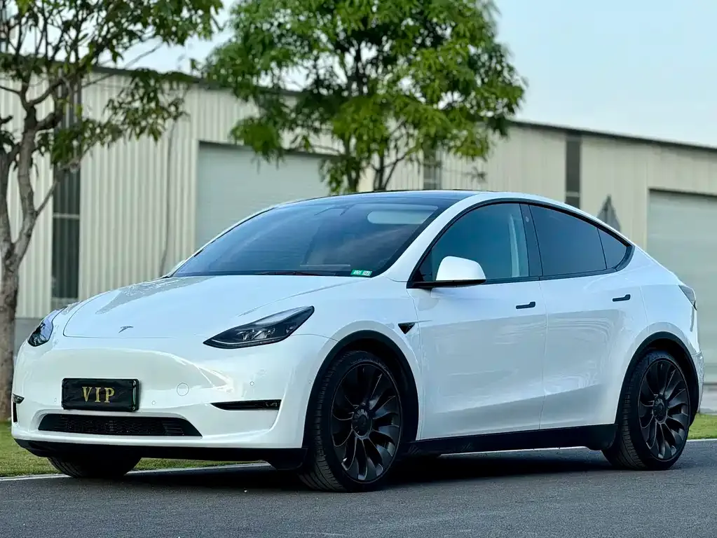 Tesla Model Y 2022 из CN, фото 1