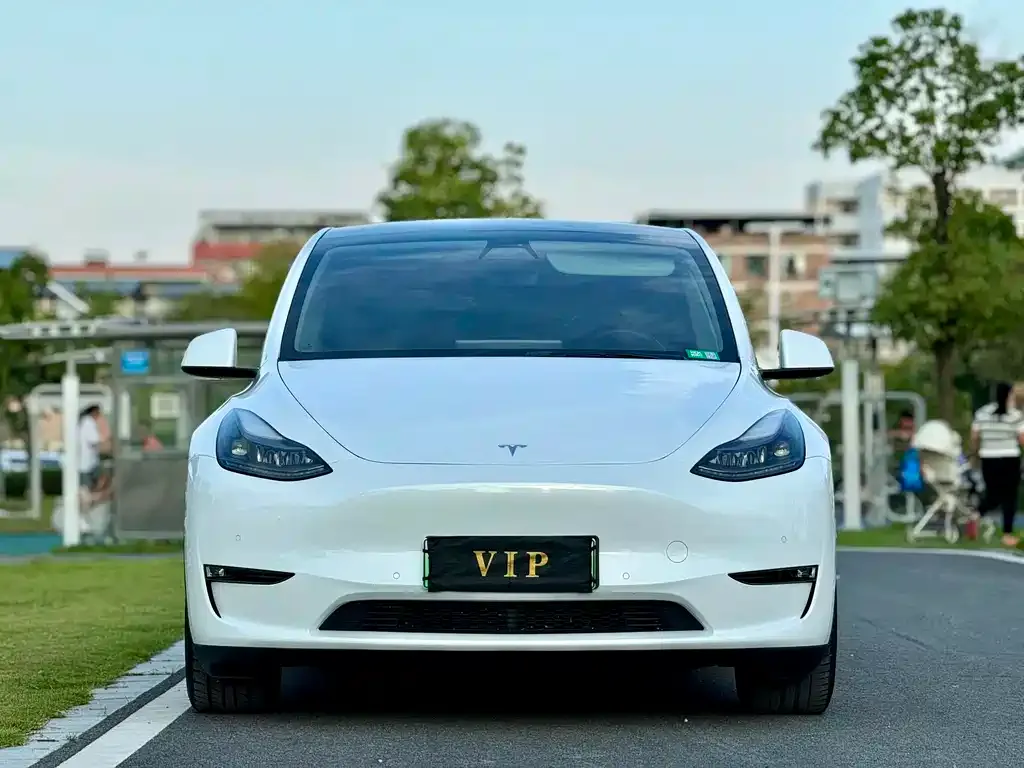 Tesla Model Y 2022 из CN, фото 2