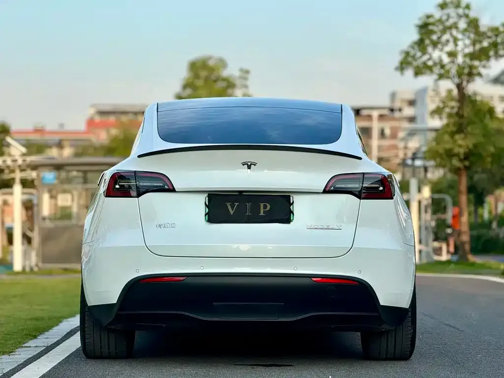 Tesla Model Y 2022 из CN, фото 5