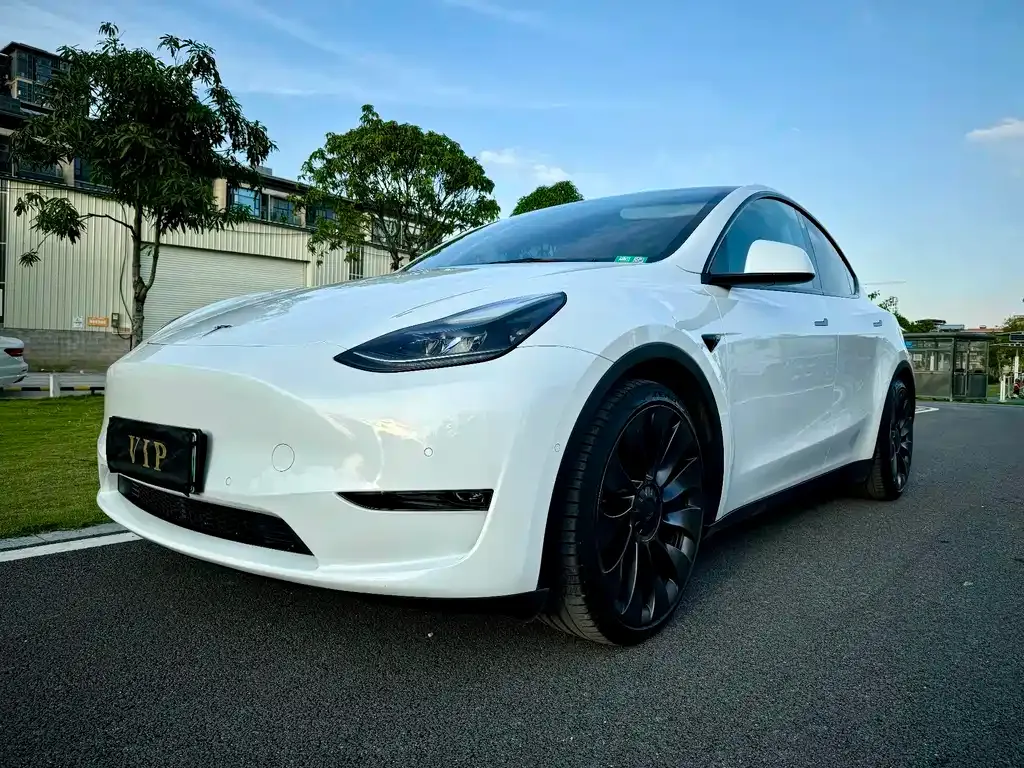 Tesla Model Y 2022 из CN, фото 9