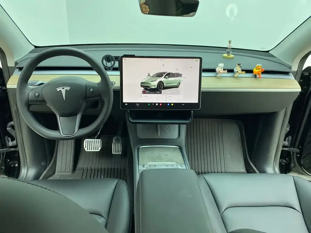 Tesla Model Y 2022 из CN, фото 8