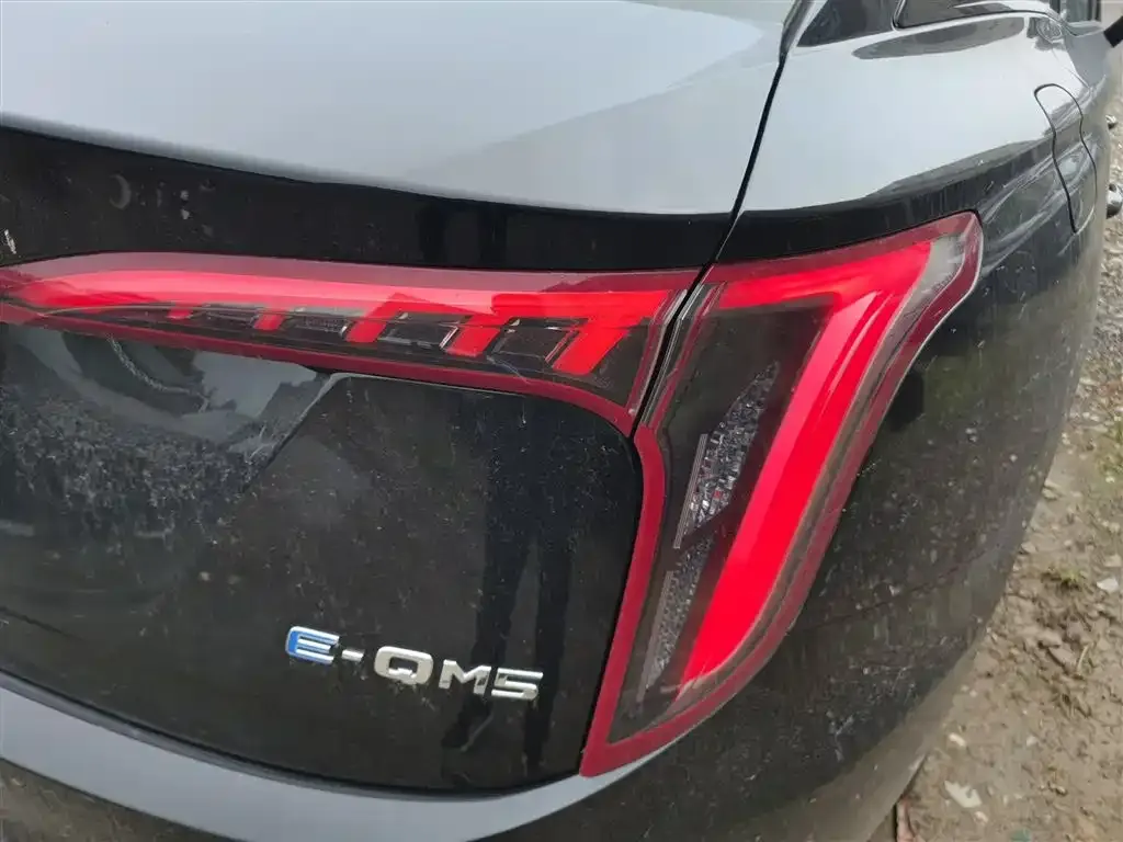 Hongqi E-QM5 2024 из CN, фото 8