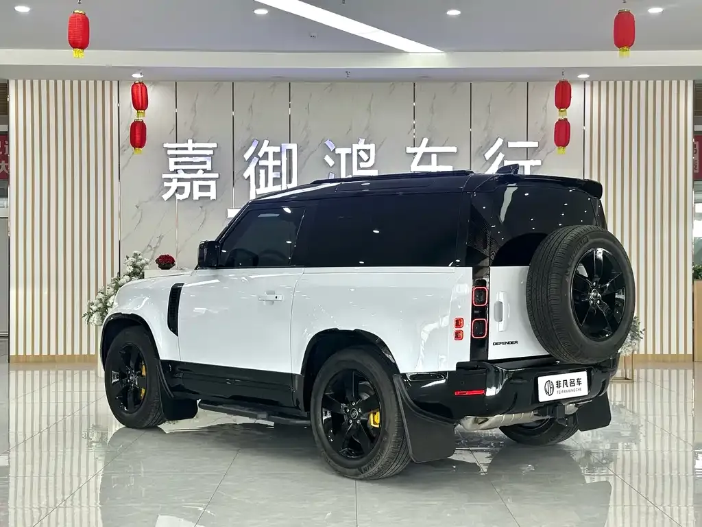 Land Rover Defender 2024 из CN, фото 4