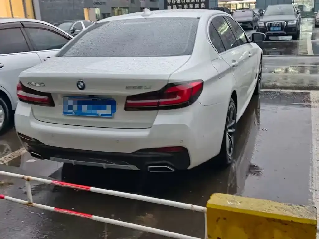 BMW 5 Series 2023 из CN, фото 2