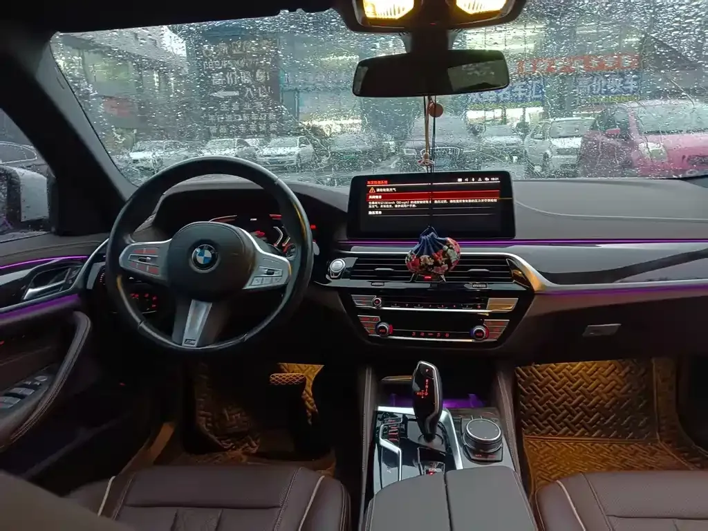 BMW 5 Series 2023 из CN, фото 5
