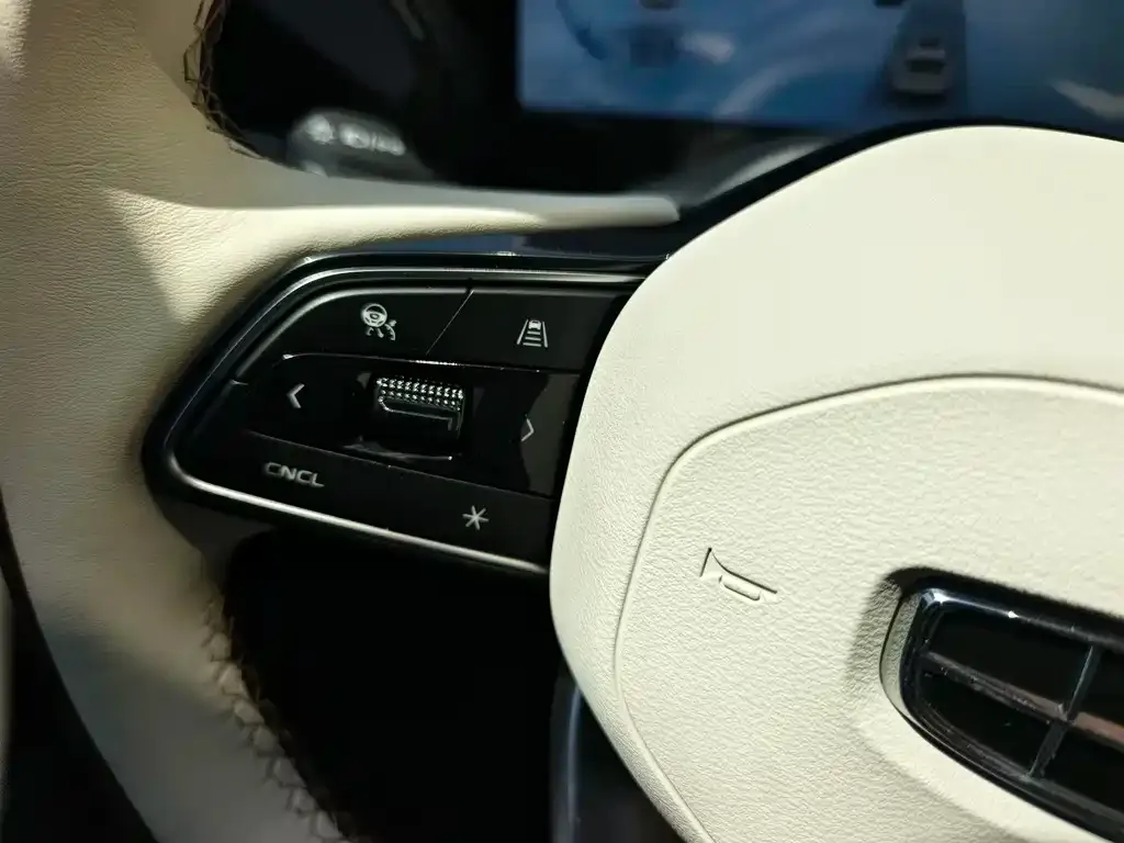 Geely Xingyue L 2021 из CN, фото 9