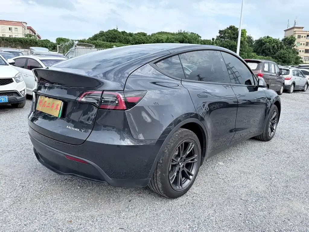 Tesla Model Y 2024 из CN, фото 6
