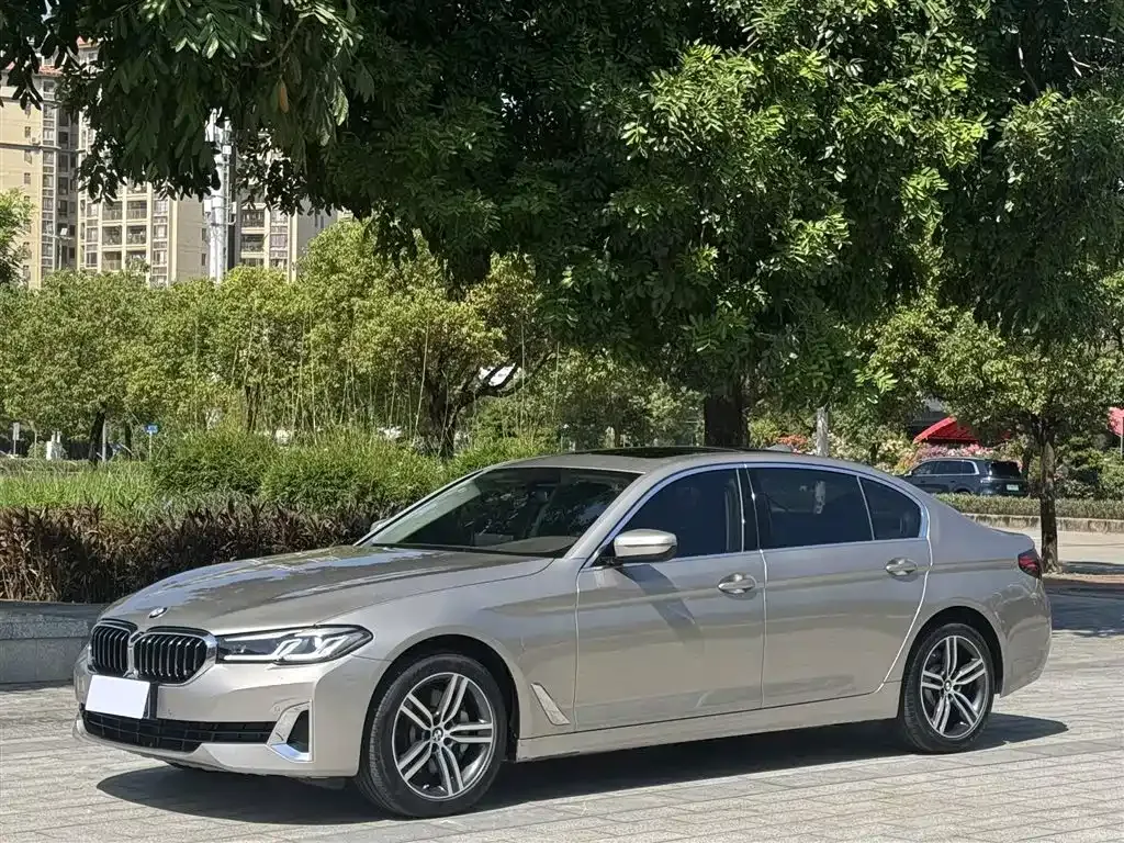 BMW 5 Series 2021 из CN, фото 1