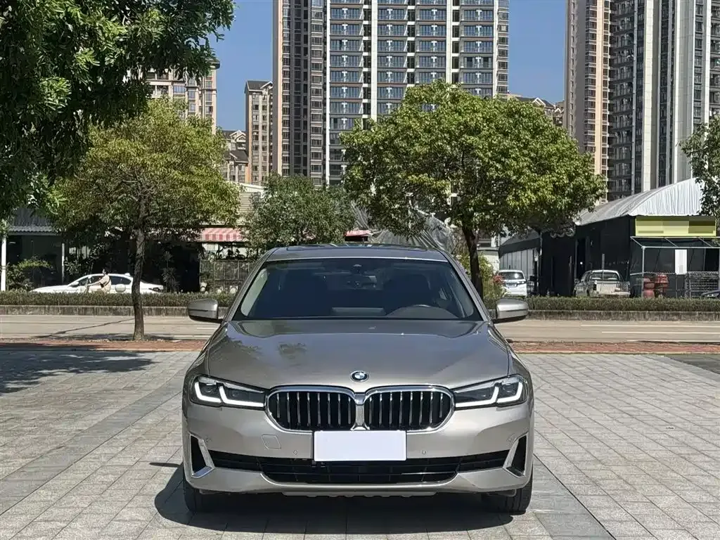 BMW 5 Series 2021 из CN, фото 2