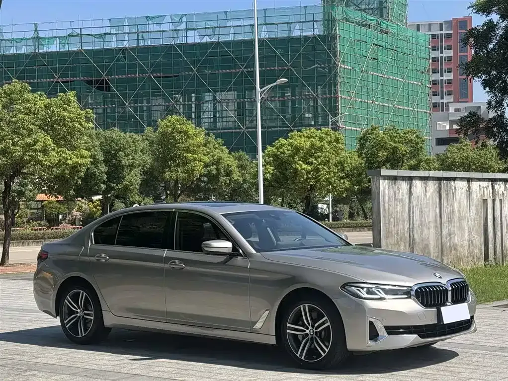 BMW 5 Series 2021 из CN, фото 3