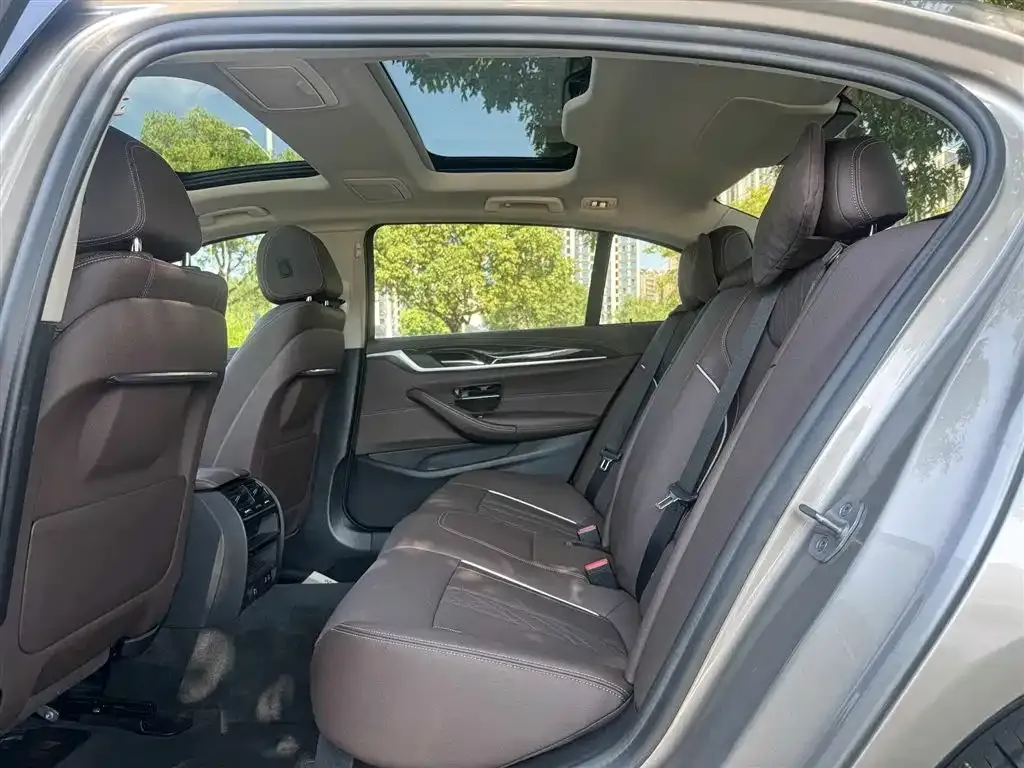 BMW 5 Series 2021 из CN, фото 6