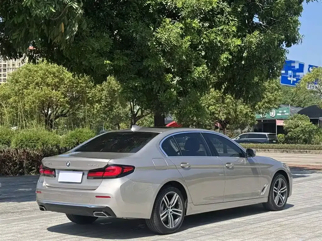 BMW 5 Series 2021 из CN, фото 7