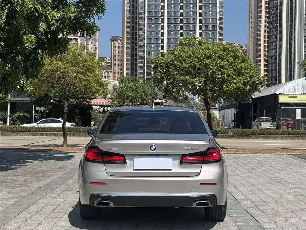 BMW 5 Series 2021 из CN, фото 8