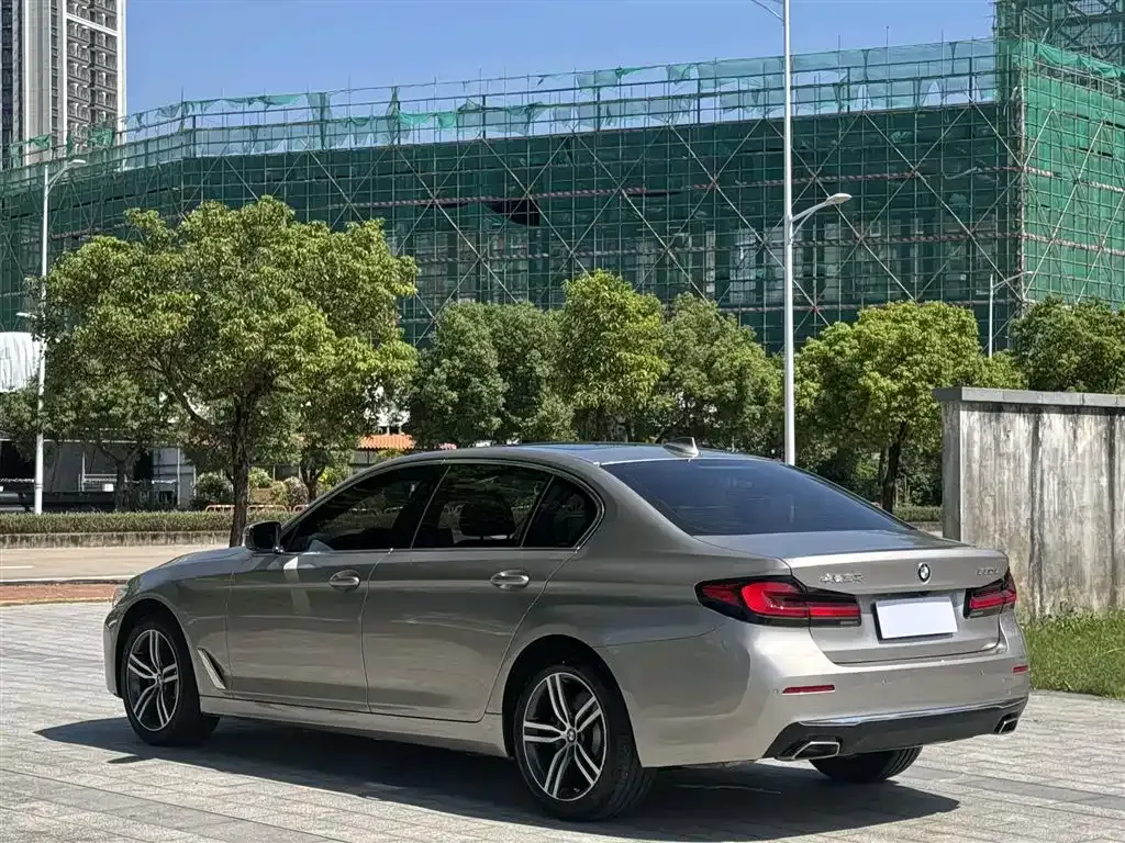 BMW 5 Series 2021 из CN, фото 9