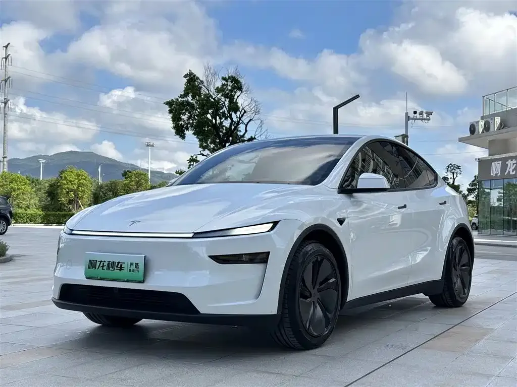 Tesla Model Y 2025 из CN, фото 1