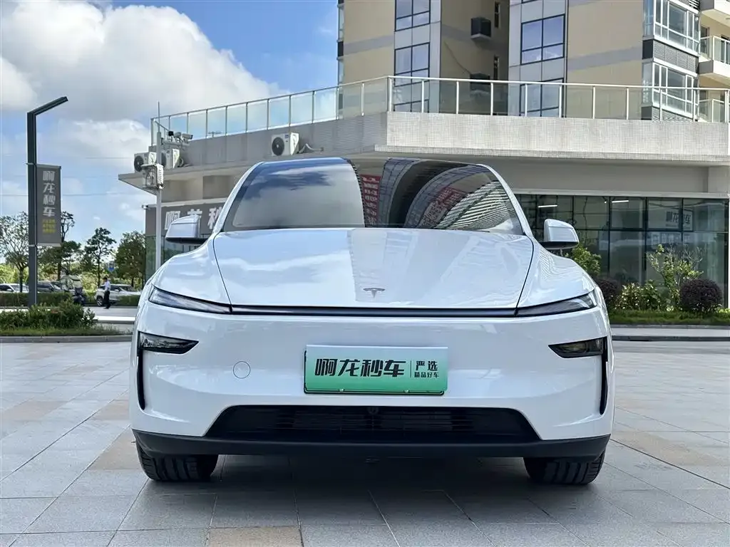 Tesla Model Y 2025 из CN, фото 2