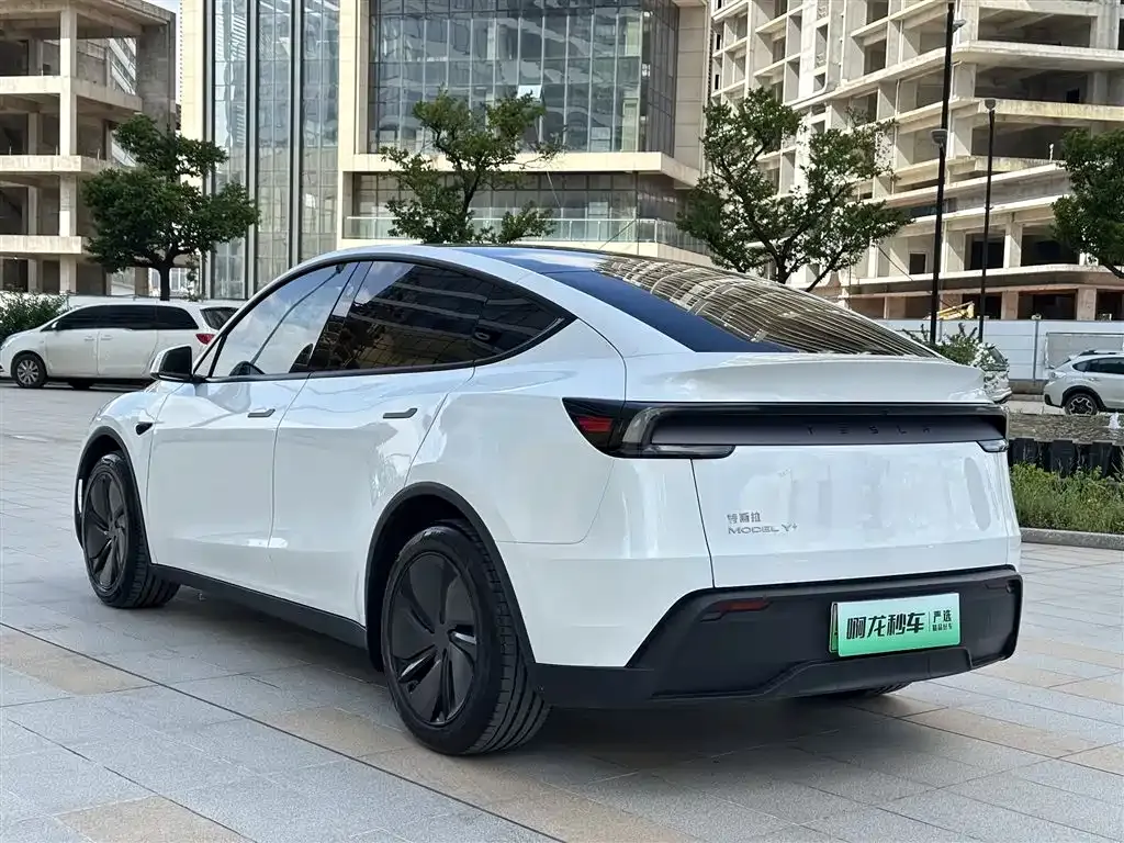 Tesla Model Y 2025 из CN, фото 6