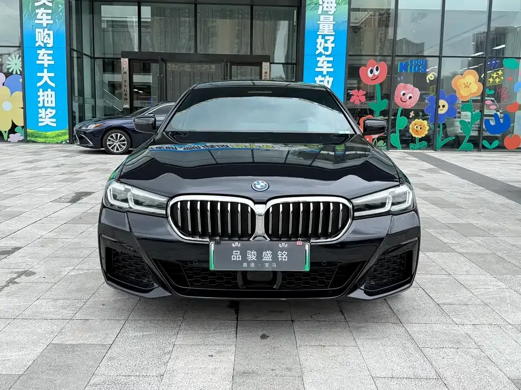 BMW 5 Series New Energy 2022 из CN, фото 2