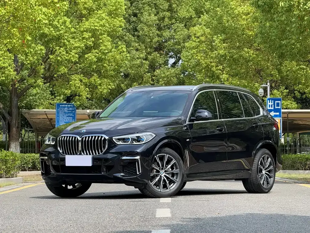 BMW X5 2023 из CN, фото 1