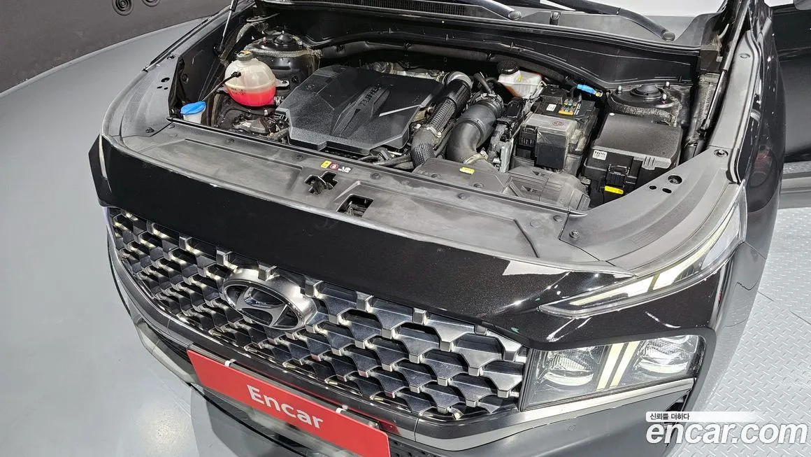 Hyundai Santafe 2023 из KR, фото 6