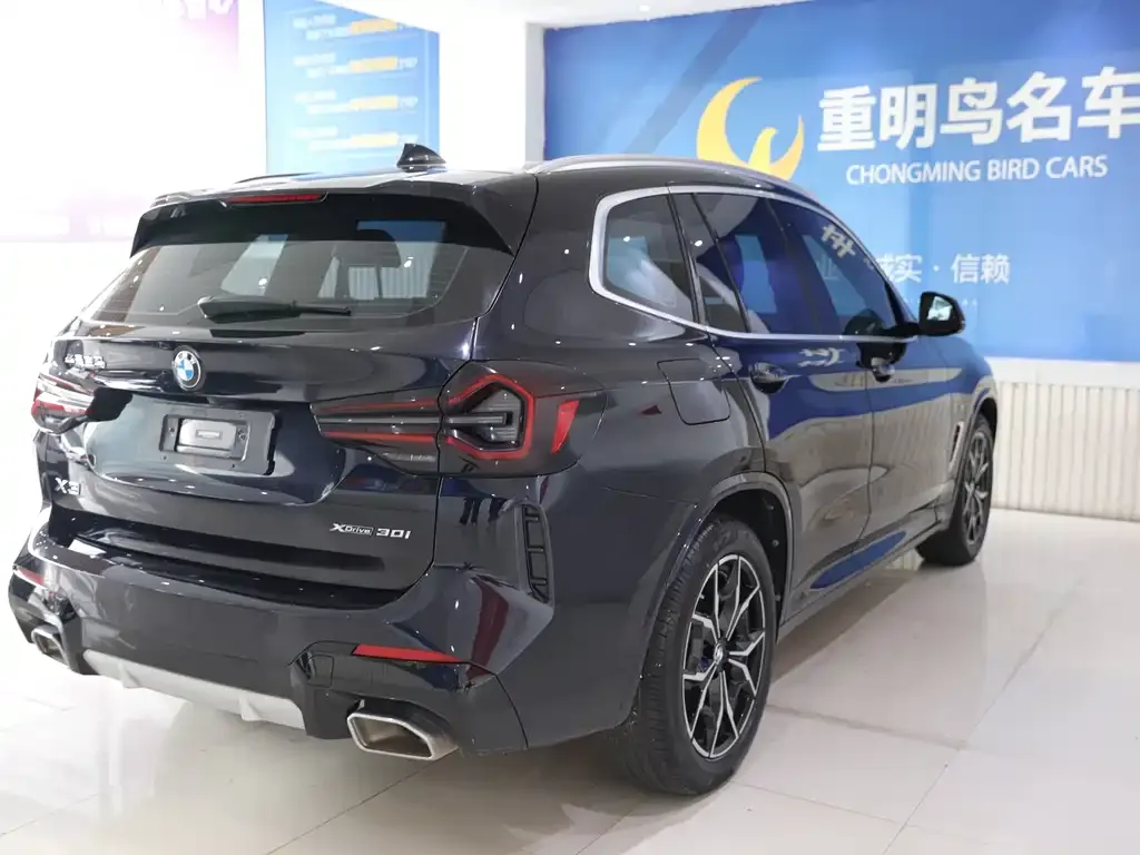 BMW X3 2022 из CN, фото 6