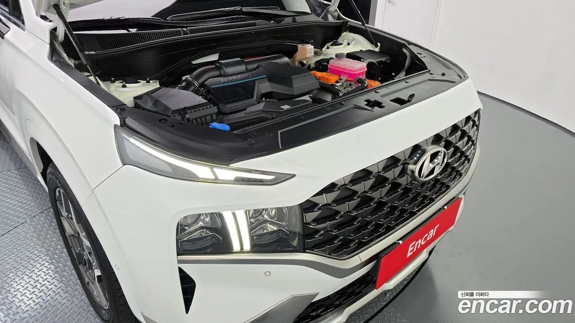 Hyundai Santafe 2022 из KR, фото 6