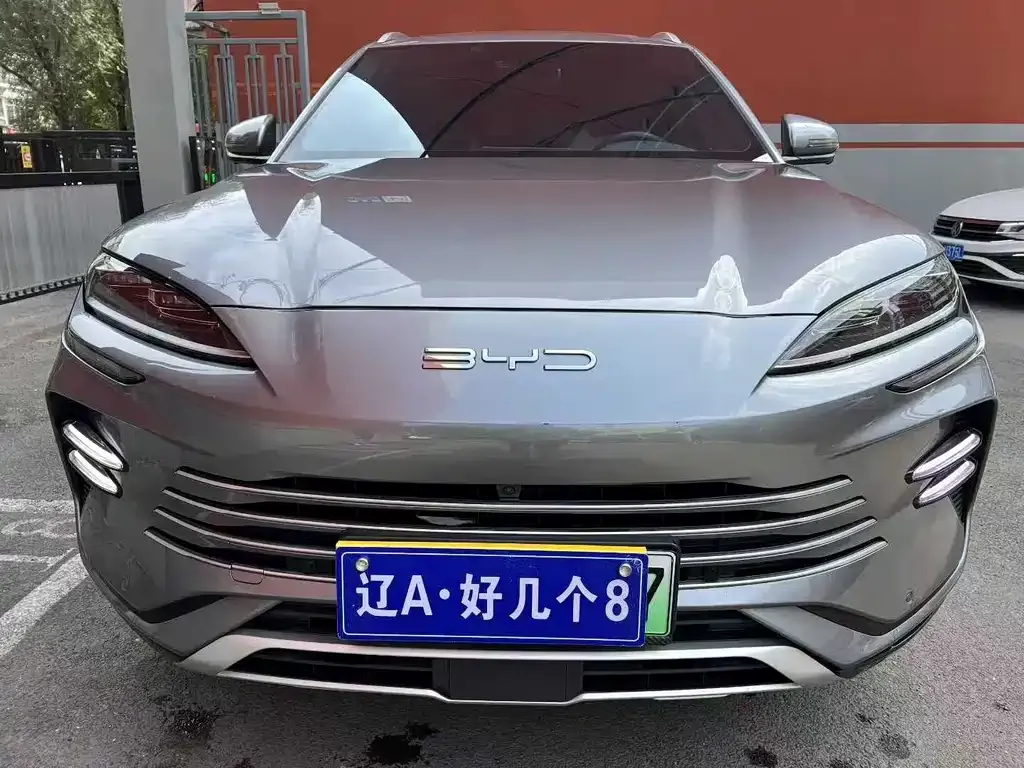 BYD PLUS New Energy 2023 из CN, фото 1