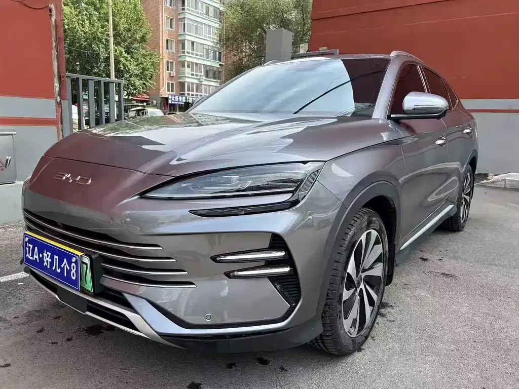 BYD PLUS New Energy 2023 из CN, фото 2