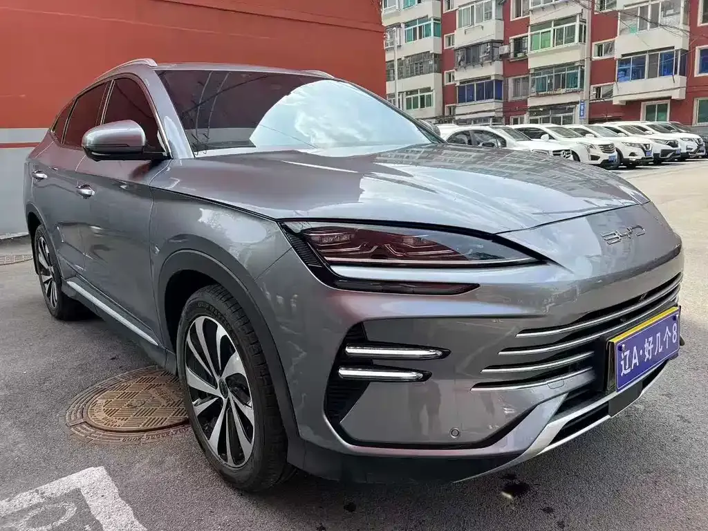 BYD PLUS New Energy 2023 из CN, фото 4