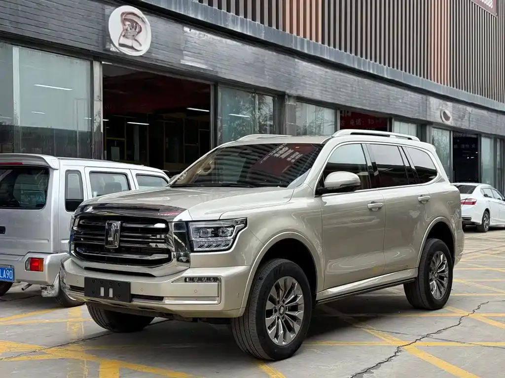 Tank 500 New Energy 2023 из CN, фото 1