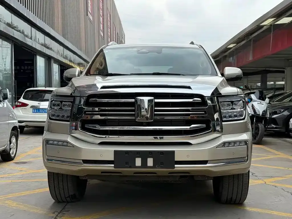 Tank 500 New Energy 2023 из CN, фото 2