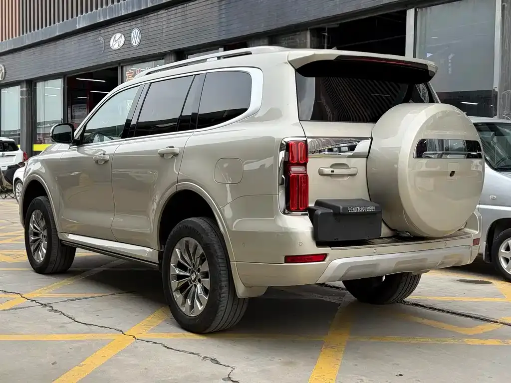Tank 500 New Energy 2023 из CN, фото 4