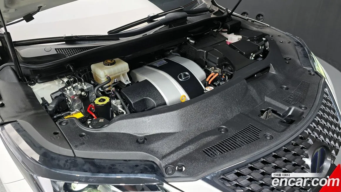 Lexus RX 2021 из KR, фото 6