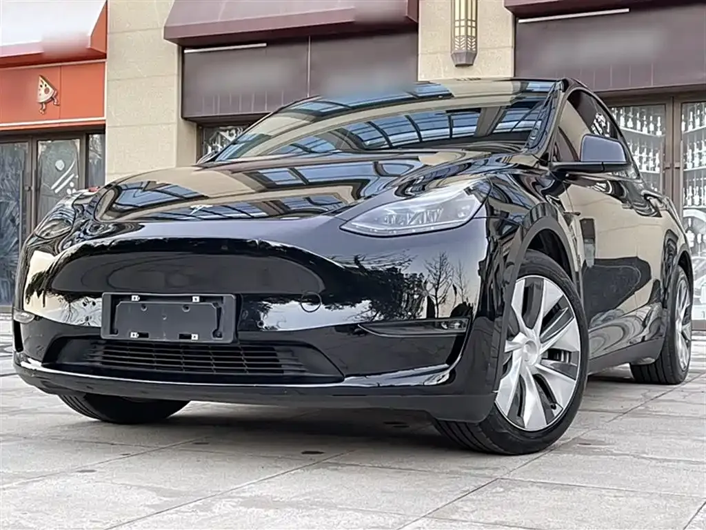 Tesla Model Y — фото 1