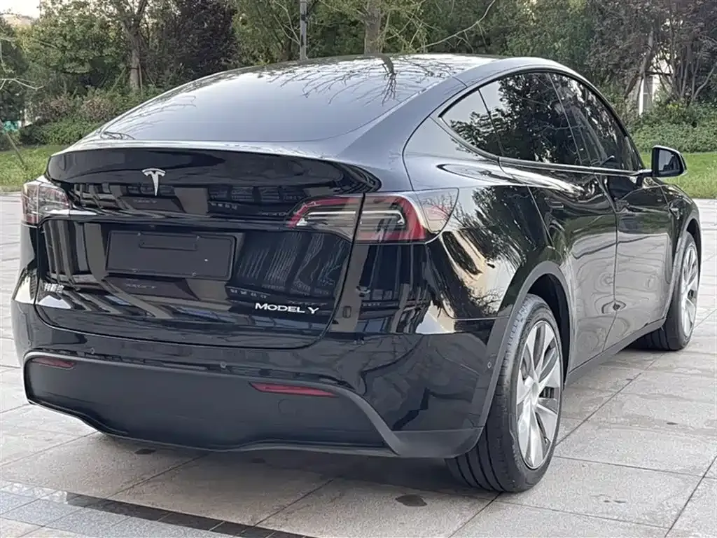 Tesla Model Y — фото 6