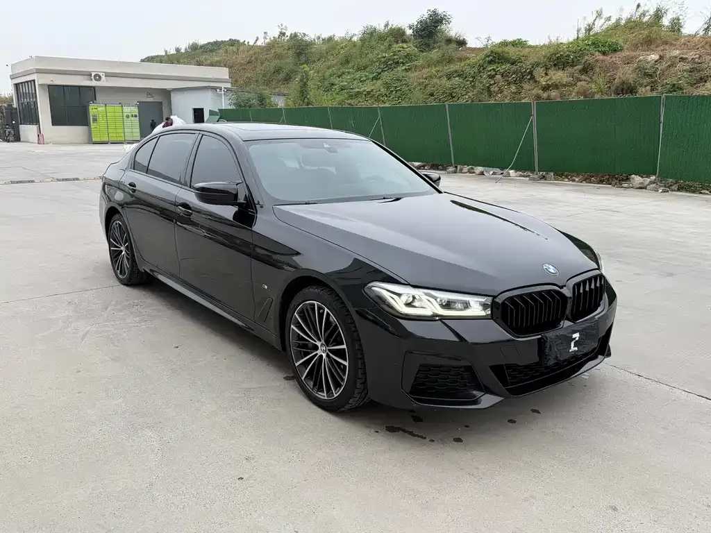 BMW 5 Series 2022 из CN, фото 2