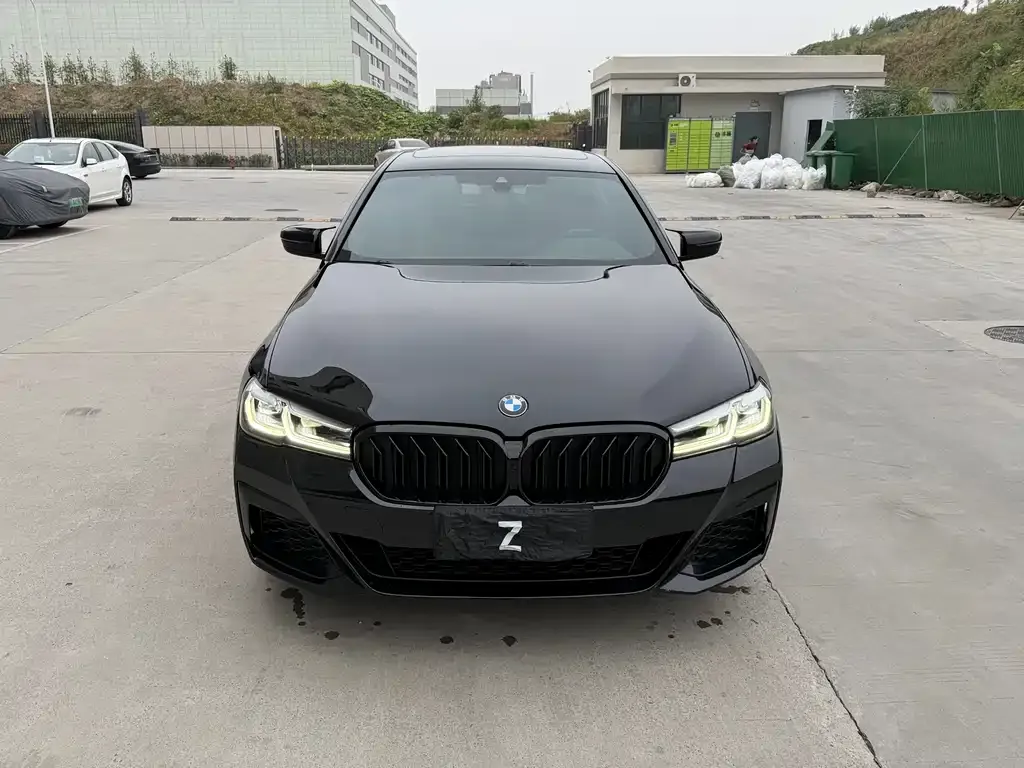BMW 5 Series 2022 из CN, фото 3