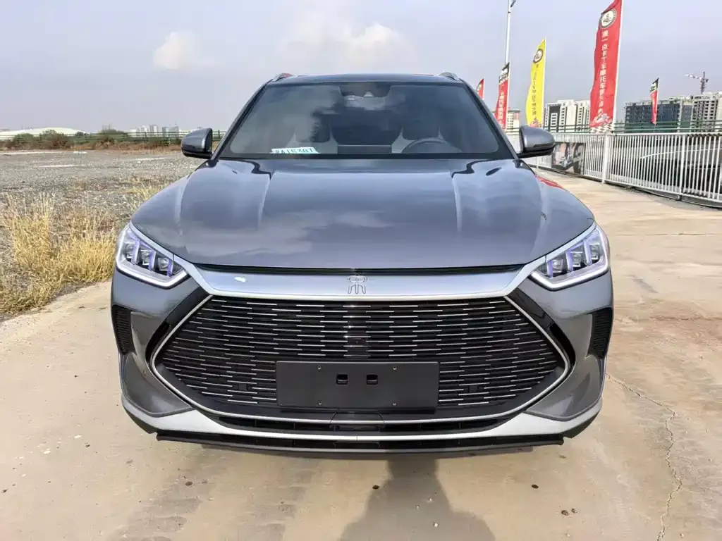 BYD PLUS New Energy 2022 из CN, фото 2
