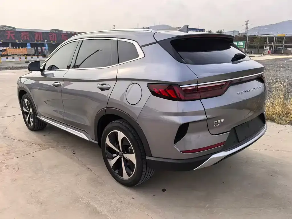 BYD PLUS New Energy 2022 из CN, фото 4