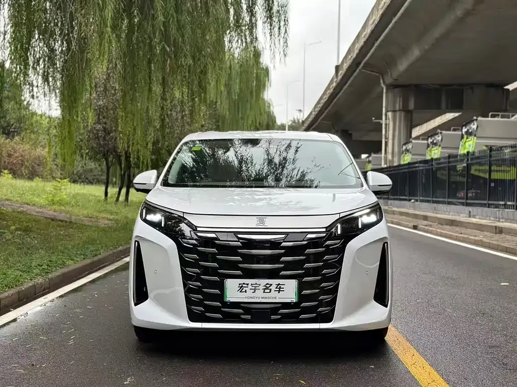 BYD Xia 2025 из CN, фото 2