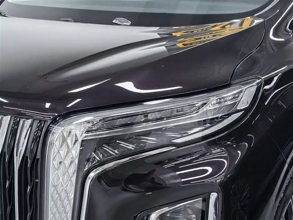 Hongqi HQ9 2023 из CN, фото 10