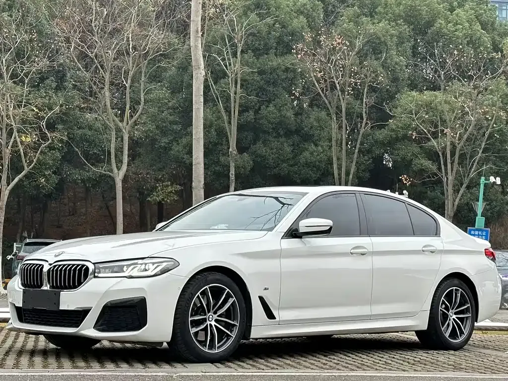 BMW 5 Series — фото 1