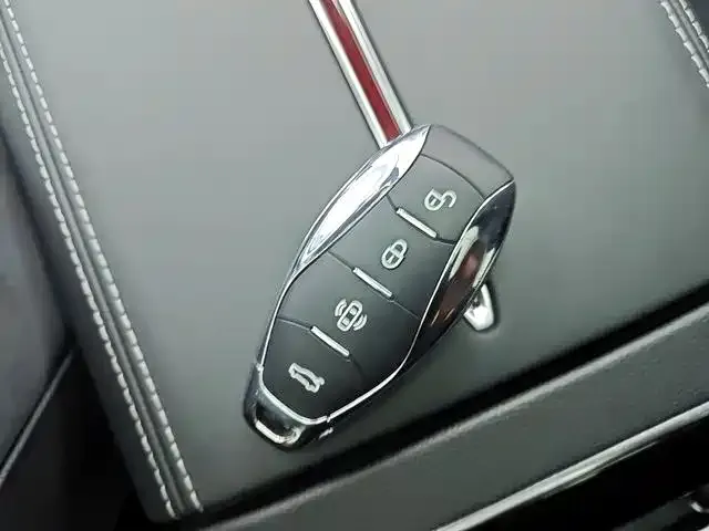 Hongqi H9 2024 из CN, фото 7