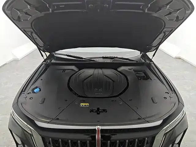 Hongqi H9 2024 из CN, фото 8
