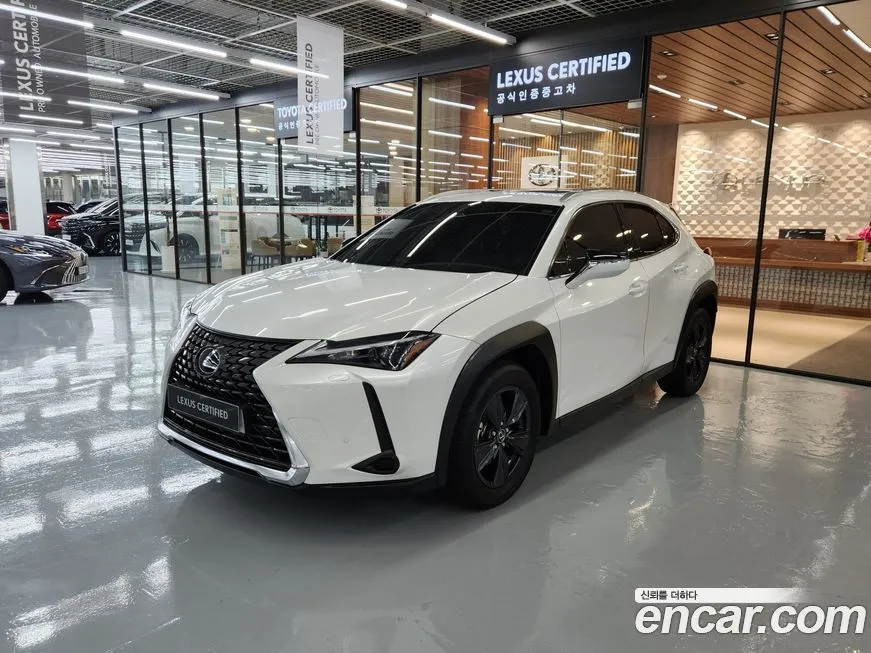 Lexus UX 2025 из KR, фото 1