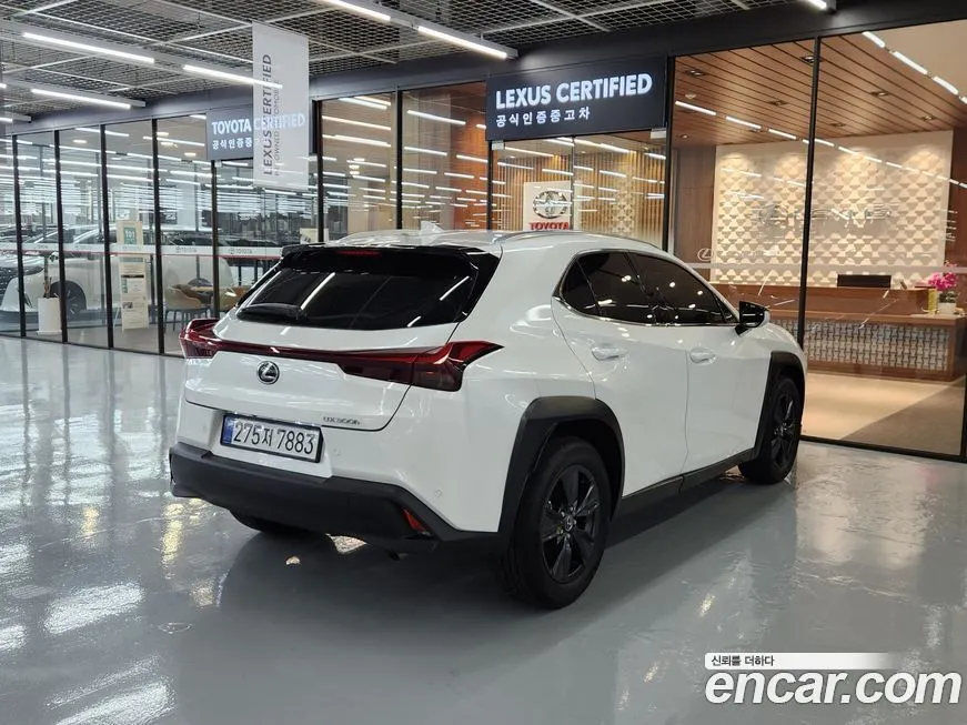 Lexus UX 2025 из KR, фото 2