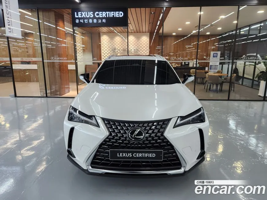 Lexus UX 2025 из KR, фото 3