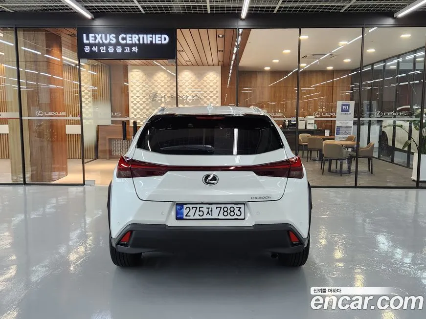 Lexus UX 2025 из KR, фото 4